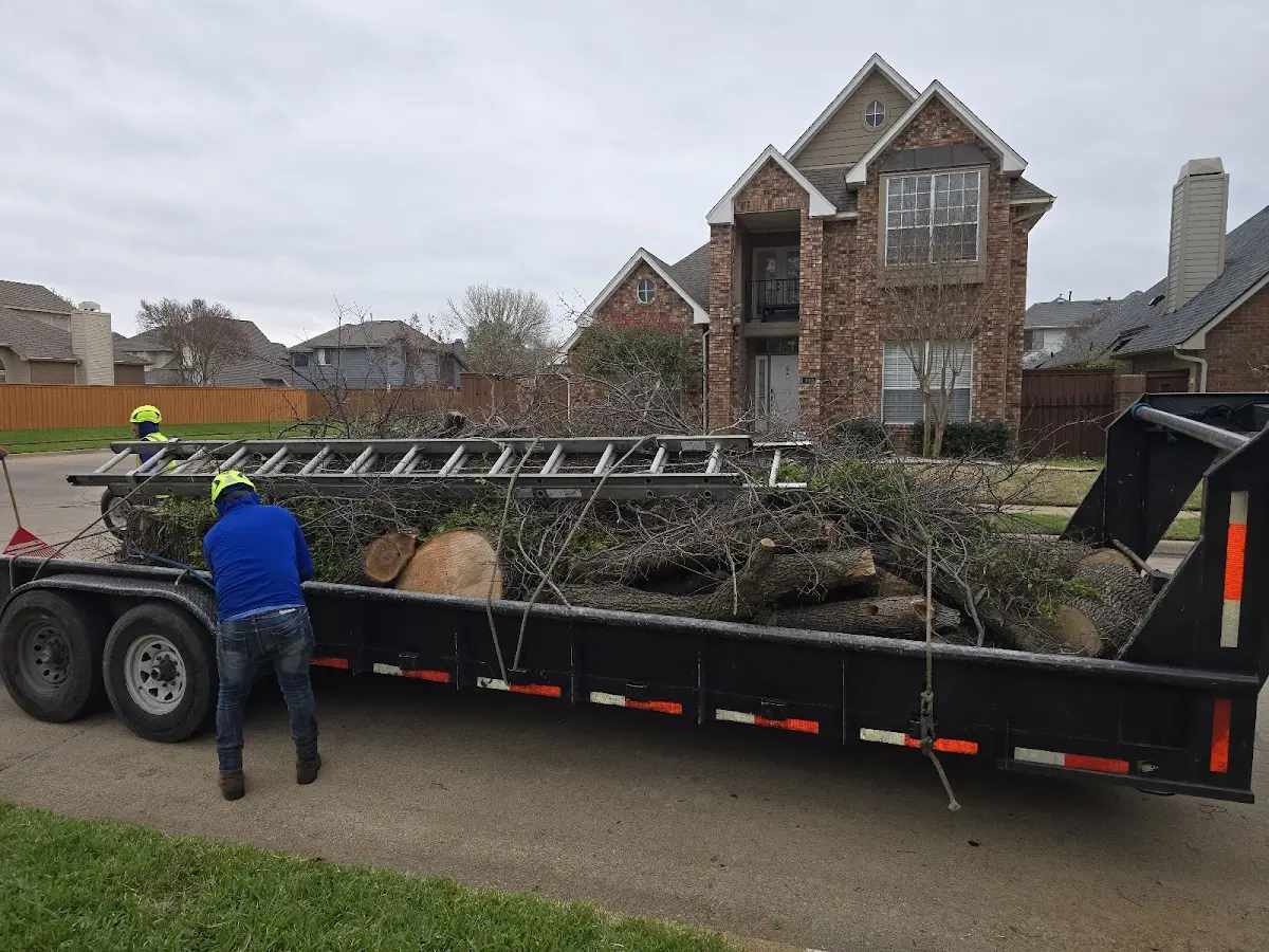 Expert Tree Fertilization with proper safety equipment in Davisville